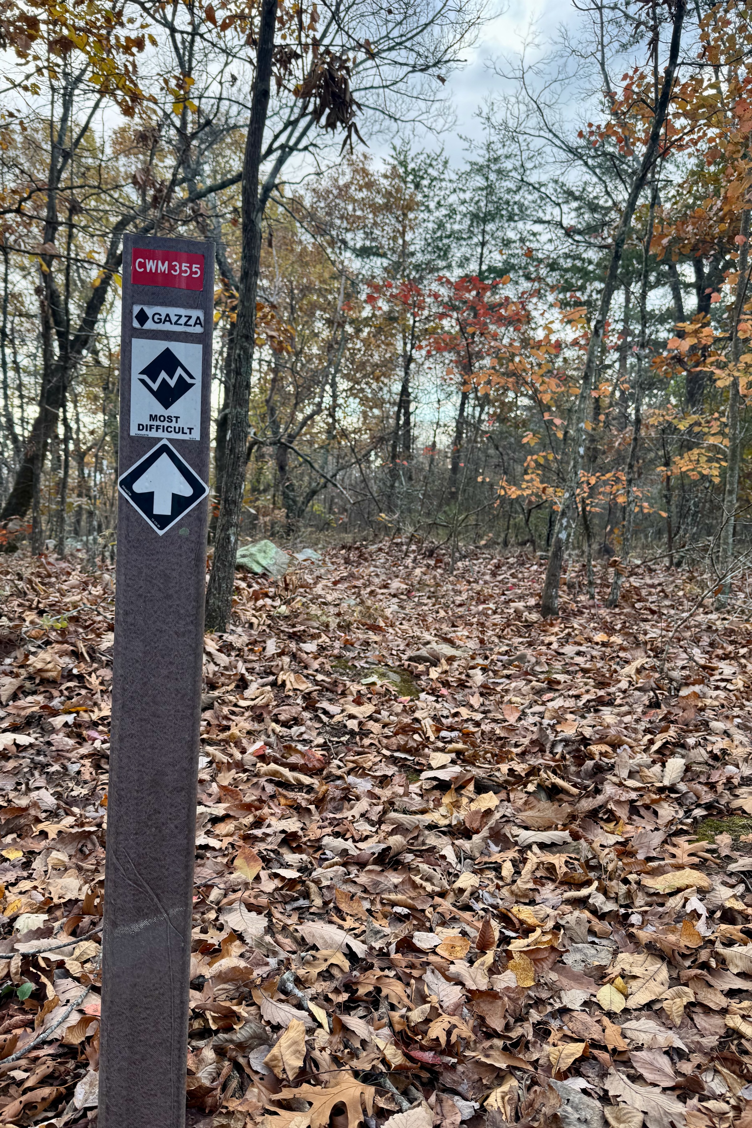 A trail sign marked "CWM355" indicating a difficult hiking trail, with the word "GAZZA" and symbols for difficulty level. The background features trees with autumn foliage and a ground covered in fallen leaves. Gazza mountain bike trail.