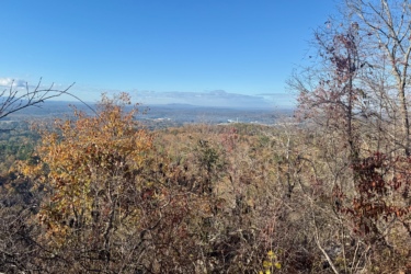 A scenic view from a high vantage point, showcasing a landscape of rolling hills and valleys under a clear blue sky. The foreground features trees with autumn foliage in shades of orange and yellow, blending into a backdrop of green trees in the distance. Bomb Dog mountain bike trail.