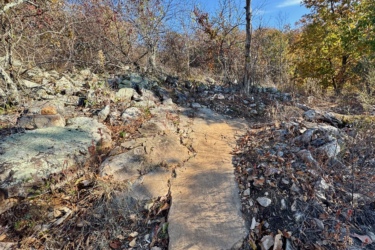 A rocky hiking trail surrounded by sparse vegetation and trees, with a clear blue sky above. The path is composed of large stones and earth, indicating a rugged outdoor environment. Fallen leaves and small plants are visible along the sides of the trail. Bomb Dog mountain bike trail.
