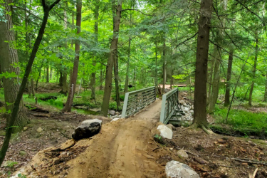 A dirt path winding through a lush green forest, leading to a small wooden bridge. Tall trees with vibrant green leaves surround the area, and rocks line the path. Soft sunlight filters through the canopy, creating a serene and tranquil atmosphere. The Dragon mountain bike trail.