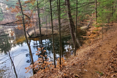 A scenic view of a winding trail alongside a calm, reflective lake surrounded by tall trees. The foreground features a dirt path with fallen leaves, while the background showcases a mixture of evergreen and deciduous trees, some with autumn foliage. The still water mirrors the trees above, creating a tranquil, nature-filled atmosphere. The Dragon mountain bike trail.