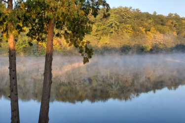 A serene landscape featuring two trees on the left side, reflecting in a calm body of water. Morning mist hovers above the water's surface, surrounded by lush green and autumn-colored foliage on a hillside. The scene captures the tranquility of nature at dawn. The Dragon mountain bike trail.