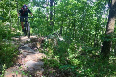 A mountain biker riding over a rocky trail in a lush green forest. The cyclist is wearing a helmet and is surrounded by trees and foliage, showcasing a vibrant outdoor environment. Gazza mountain bike trail.