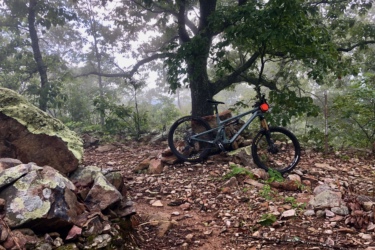 A mountain bike leaned against a tree in a misty forest setting, surrounded by rocky terrain and lush greenery. The scene conveys a sense of adventure and tranquility. Gazza mountain bike trail.