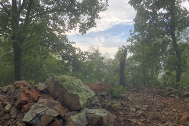 A serene densely forested area with green foliage and rocky terrain. A pile of large rocks covered in moss is in the foreground, with trees and a hint of blue sky visible in the background. Gazza mountain bike trail.
