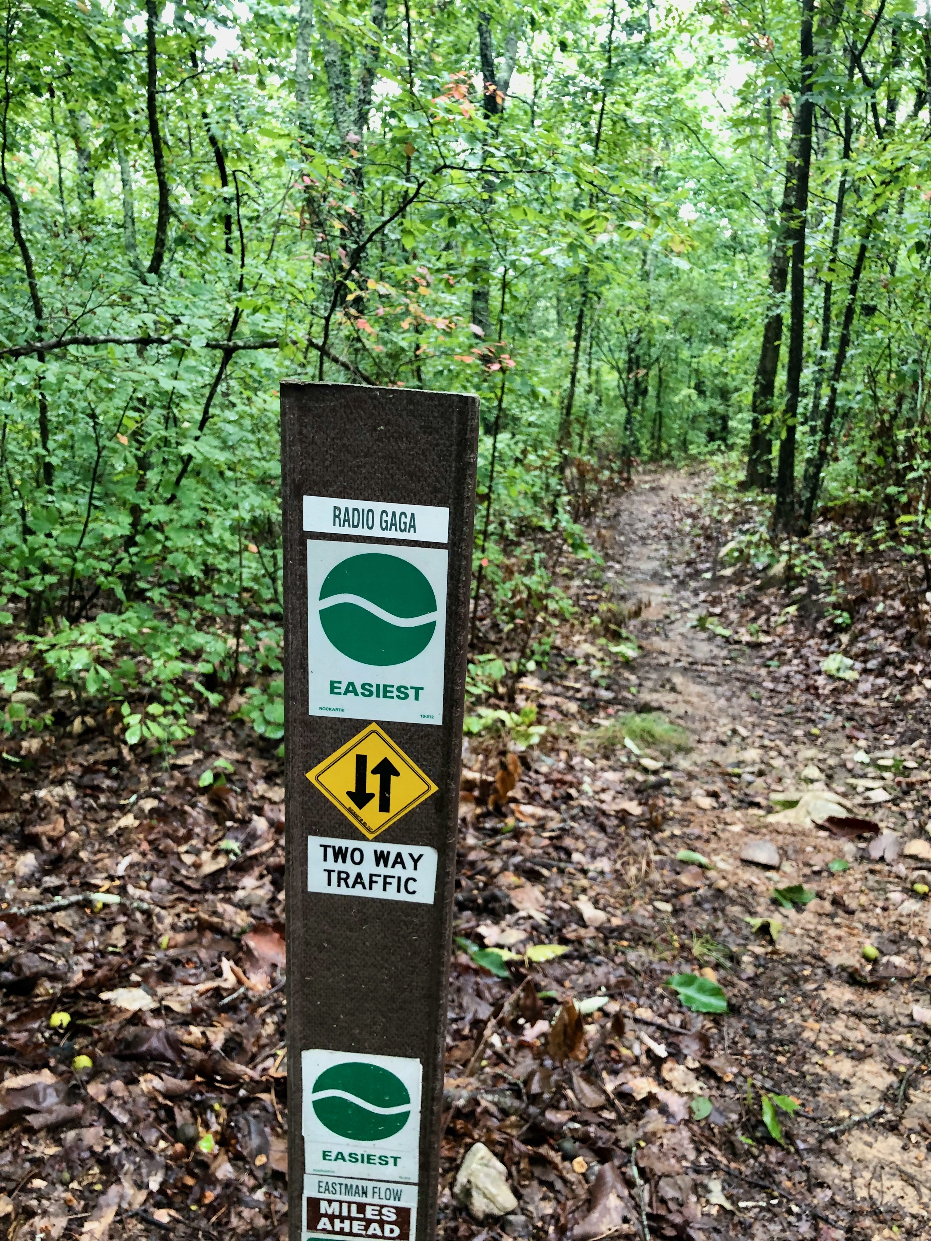 A trail sign in a wooded area, indicating the "Radio Gaga" trail, marked as the easiest level. The sign includes symbols for two-way traffic and directions for hikers, with a view of a dirt path leading into the greenery. The ground is covered with fallen leaves and the surroundings are lush with trees. Radio Gaga mountain bike trail.