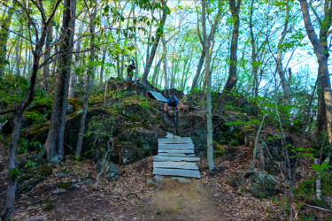 A mountain biker riding down a wooden plank trail through a wooded area with green foliage and rocky terrain. In the background, another person is visible on the trail. The scene is bright and captures the essence of outdoor adventure. Satan's Ridge mountain bike trail.