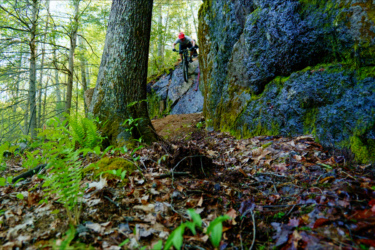 A mountain biker airborne in mid-jump on a forest trail, surrounded by trees, moss-covered rocks, and leafy undergrowth. Satan's Ridge mountain bike trail.