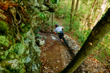 A mountain biker navigating a narrow dirt trail surrounded by lush greenery and rocky outcrops in a forested area. The biker is leaning into the turn, showcasing dynamic movement and focus as they ride through the natural setting. Satan's Ridge mountain bike trail.