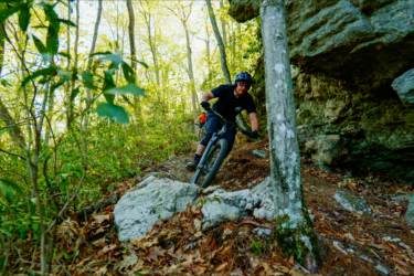 A mountain biker navigating a rocky trail through a lush forest, with green foliage and trees surrounding the path. The rider is focused and leaning into a turn, showcasing an adventurous and dynamic moment in outdoor cycling. Satan's Ridge mountain bike trail.
