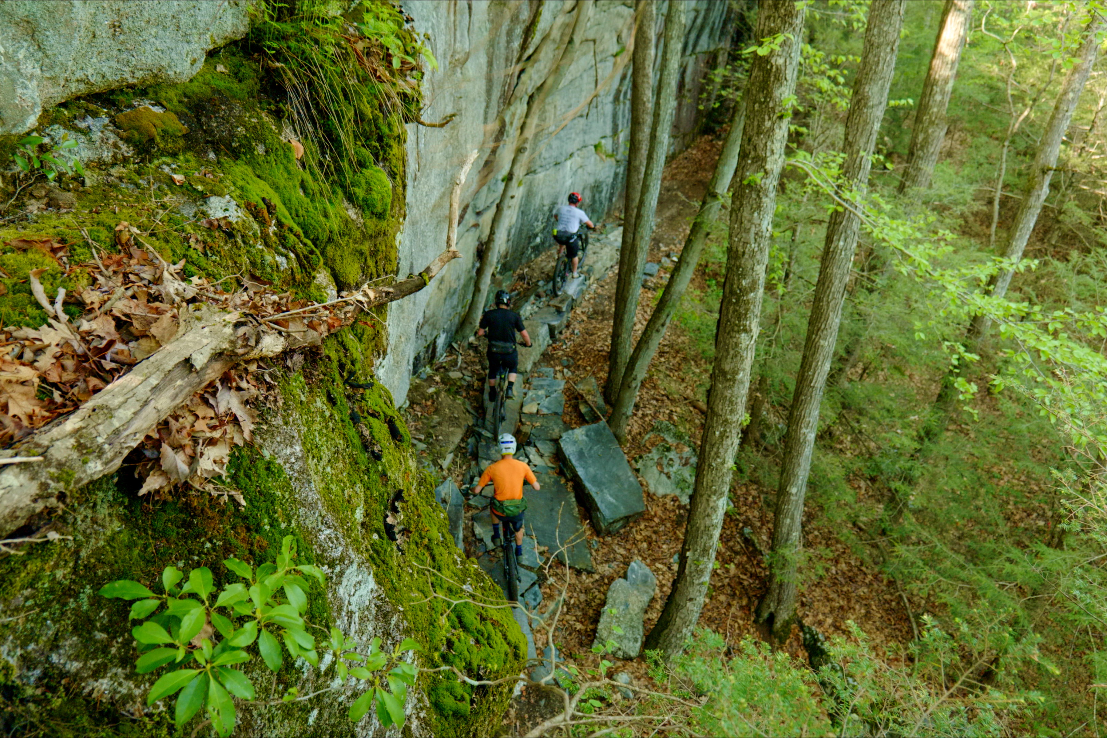 Mountain bikers navigate a narrow, rocky trail lined with moss-covered rocks and lush greenery in a forested area. Tall trees surround the path, creating a beautiful natural setting for outdoor adventure. Satan