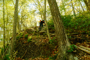 A mountain biker navigates a rocky trail amidst lush green foliage and towering trees. The cyclist is captured mid-action, showcasing skill and balance as they descend a steep section of the path. Satan's Ridge mountain bike trail.
