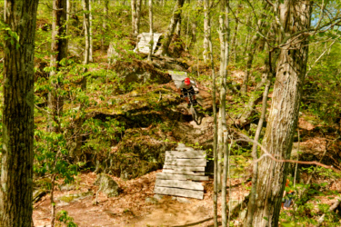 A mountain biker navigates a rocky trail in a lush green forest, riding down a sloped path with wooden planks to assist with the descent. The scene is surrounded by tall trees and vibrant foliage, capturing the adventurous spirit of outdoor biking. Satan's Ridge mountain bike trail.