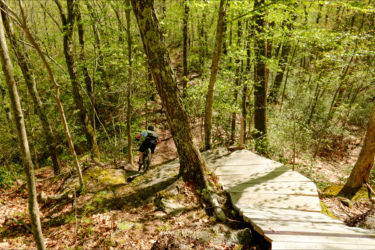 A cyclist navigating a rocky trail in a lush green forest, with wooden boardwalk sections nearby and trees providing a dense canopy overhead. Satan's Ridge mountain bike trail.