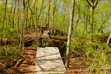 A mountain biker rides down a wooden ramp in a forested area, surrounded by green foliage and trees. In the background, another biker is seen on a raised trail, showcasing an outdoor biking trail with natural terrain and jumps. The scene is bright and sunny, emphasizing the vibrant spring atmosphere. Satan's Ridge mountain bike trail.