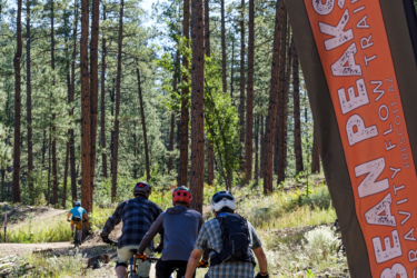 Four mountain bikers riding along a forest trail, with a banner for "Bean Peaks Gravity Flow Trails" visible in the foreground. Tall pine trees surround the path, creating a scenic outdoor atmosphere. Bean Peaks mountain bike trail.