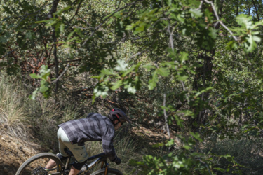 A mountain biker riding down a dirt path surrounded by trees and foliage. The cyclist is wearing a helmet and a checkered shirt, navigating a winding trail in a forested area. Sunlight filters through the leaves, creating a dappled effect on the ground. Bean Peaks mountain bike trail.