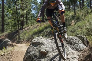 A mountain biker jumping off a large rock on a forest trail, surrounded by tall trees and greenery. The rider is wearing a helmet and protective gear, showcasing an action-packed moment in nature. Bean Peaks mountain bike trail.