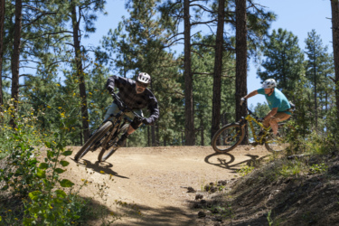 Two mountain bikers navigating a winding dirt trail in a forested area, surrounded by tall pine trees and wildflowers. One rider leans into a turn, wearing a black helmet and a plaid shirt, while the other in a teal shirt and white helmet follows closely behind. The scene captures a bright, sunny day and the excitement of outdoor biking. Bean Peaks mountain bike trail.