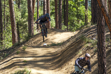 Two mountain bikers navigate a dirt trail in a forest setting. One biker is airborne, executing a jump off a raised section of the path, while the other is leaning into a turn on a lower section of the trail. Tall pine trees surround the area, providing dappled sunlight on the dirt and vegetation. Bean Peaks mountain bike trail.