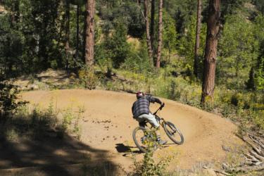 A cyclist maneuvering around a dirt trail in a forested area, surrounded by tall trees and greenery. The rider is leaning into a curve, showcasing a dynamic biking posture on a sunshine-lit path. Bean Peaks mountain bike trail.