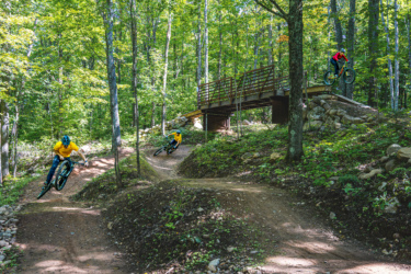 A vibrant forest scene featuring mountain bikers navigating dirt trails. Two cyclists are shown in mid-action, one turning sharply on a trail and the other jumping off a small hill near a wooden bridge. The lush greenery and dappled sunlight create a dynamic and adventurous atmosphere. WinMan Trails mountain bike trail.