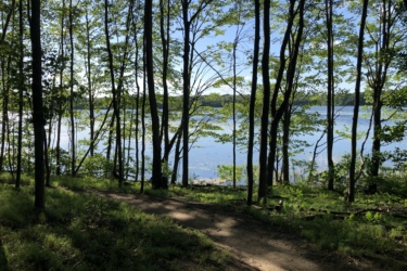 A serene view of a lake surrounded by lush green trees, with a sandy path leading into the wooded area. The clear blue sky reflects off the water's surface, creating a peaceful and natural atmosphere. DTE Energy Foundation Trail mountain bike trail.