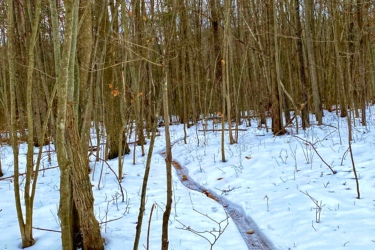 A winding path through a snowy forest, flanked by bare trees. The ground is covered in a blanket of white snow, and a few small branches and leaves are visible along the path. The scene conveys a quiet, tranquil winter landscape. Goodrich-Loomis mountain bike trail.