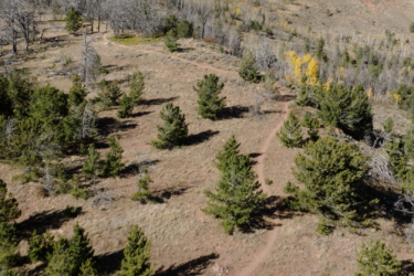  Pilot Hill Connector mountain bike trail.