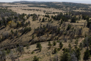  Pilot Hill Connector mountain bike trail.