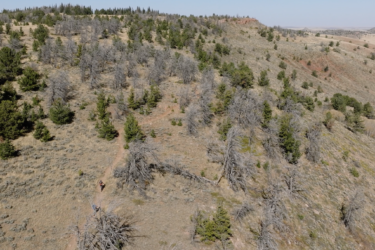  Pilot Hill Connector mountain bike trail.