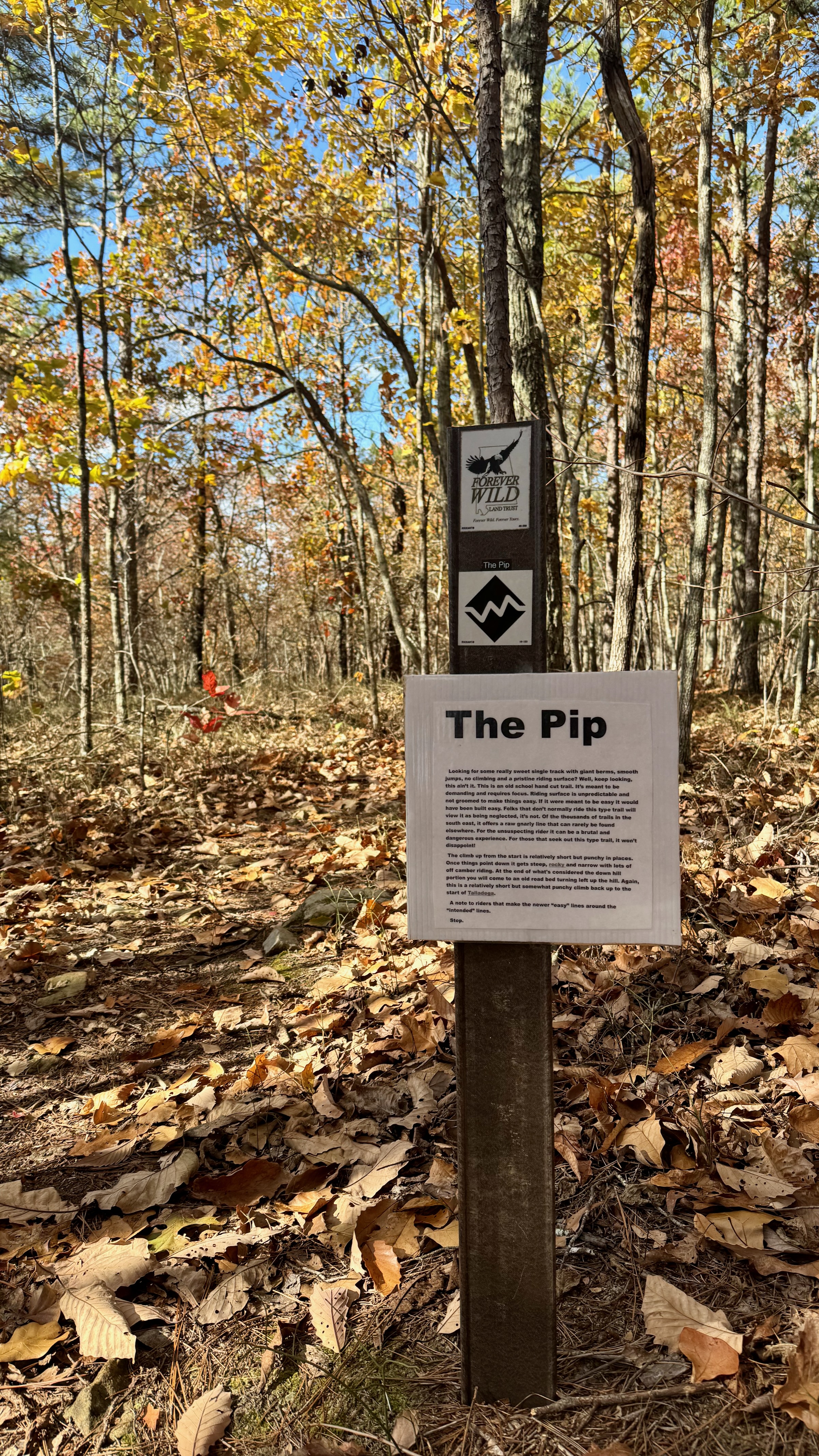 A signpost in a wooded area displaying information about "The Pip" trail. The sign features a title and a brief description, surrounded by trees with autumn foliage and a carpet of fallen leaves on the ground. The clear blue sky is visible in the background. The Pip mountain bike trail.