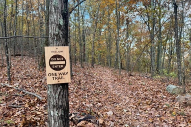 A wooden sign on a tree in a forest setting, indicating "DO NOT ENTER" and "ONE WAY TRAIL" for the Trillium trail, with a path covered in fallen leaves and surrounded by trees in autumn colors. Trillium mountain bike trail.