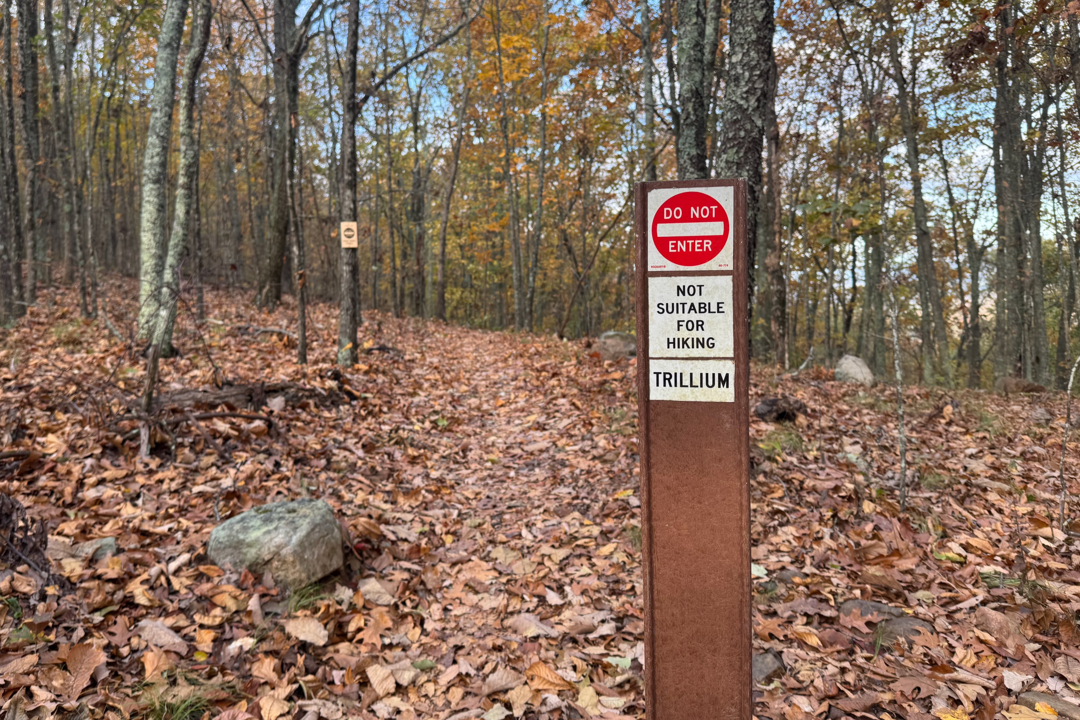 A forest path covered in fallen leaves, featuring a sign that reads "DO NOT ENTER" and "NOT SUITABLE FOR HIKING" along with the word "TRILLIUM." The surrounding trees show autumn foliage under a clear blue sky. Trillium mountain bike trail.