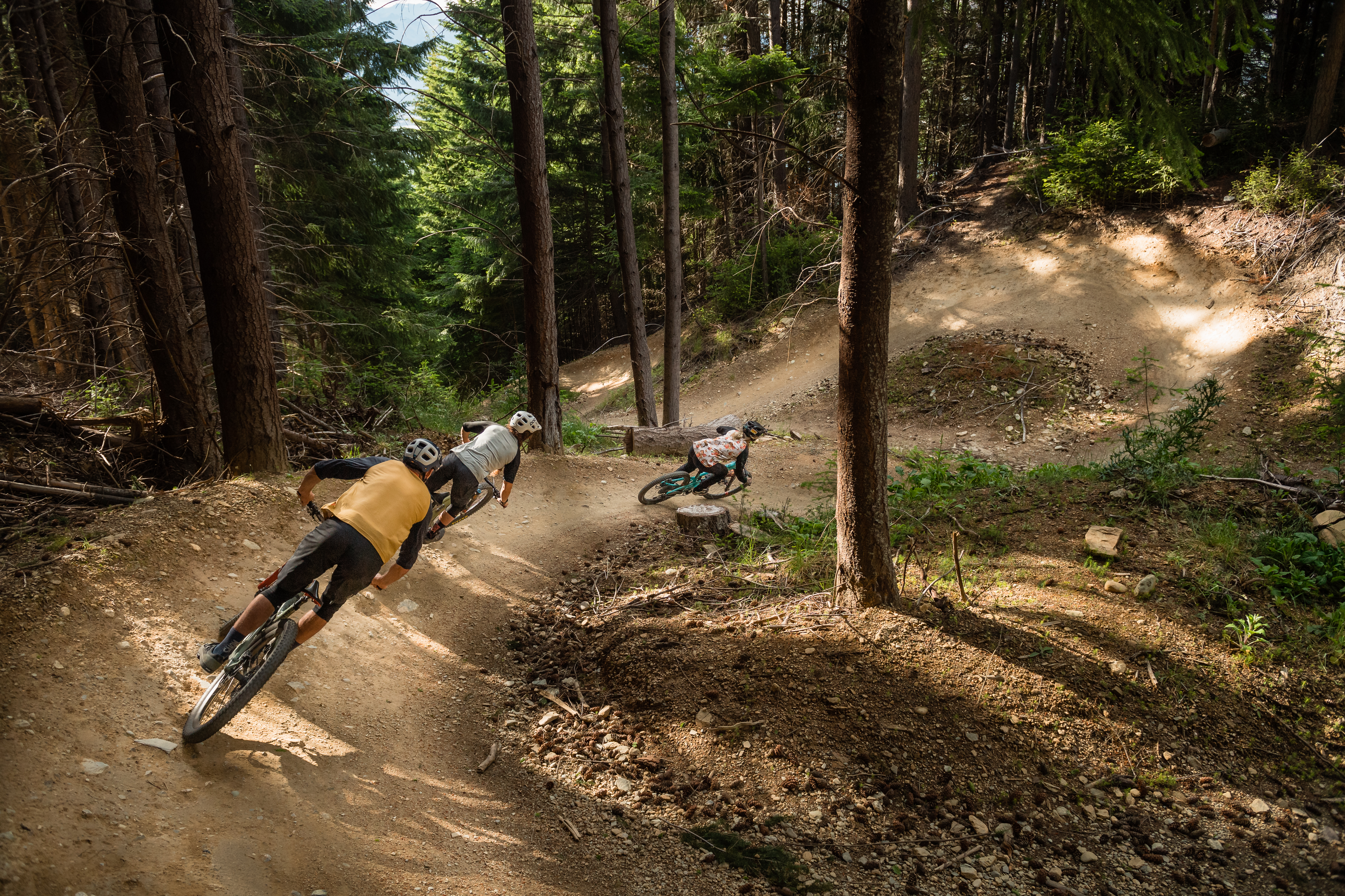Three mountain bikers navigate a winding dirt trail through a dense forest of tall trees, with sunlight streaming through the foliage. The bikers lean into turns, showcasing their agility on the rugged terrain. Fernhill mountain bike trail.