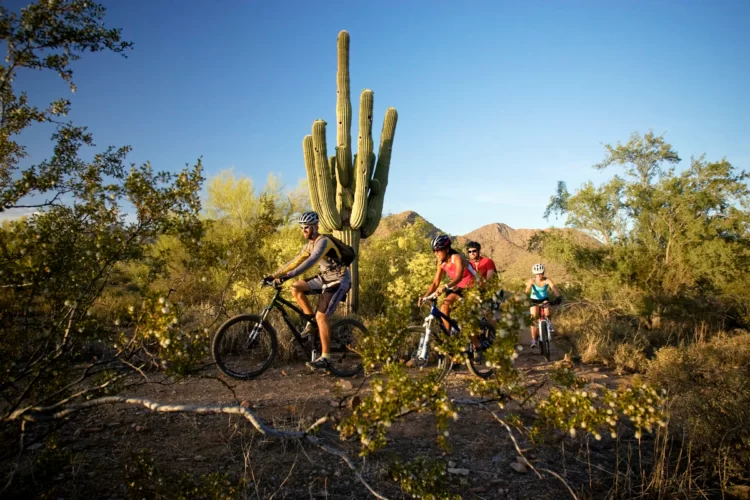 A group of four cyclists riding mountain bikes along a desert trail, with a large saguaro cactus in the background and mountains in the distance. The scene is set under a clear blue sky with some greenery surrounding the path.