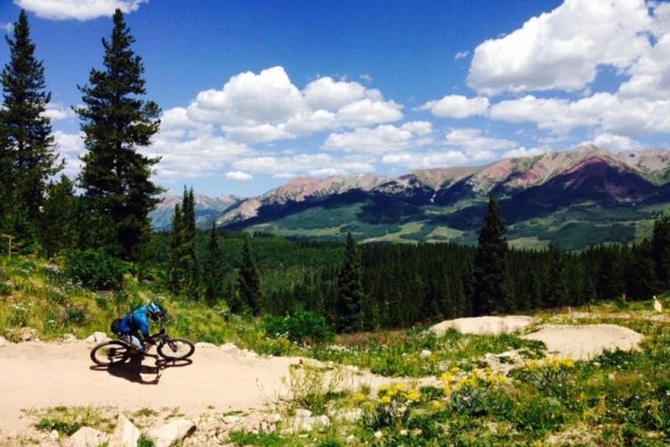 A mountain biker navigates a dirt trail surrounded by lush greenery and colorful wildflowers, with mountainous terrain and a partly cloudy sky in the background.