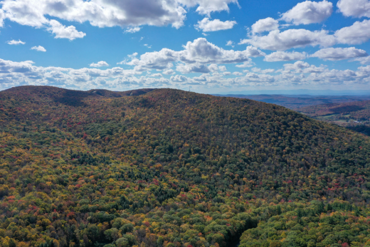 Aerial view of lush, multi-colored forests and rolling hills under a bright blue sky dotted with fluffy white clouds, showcasing the beauty of autumn foliage.
