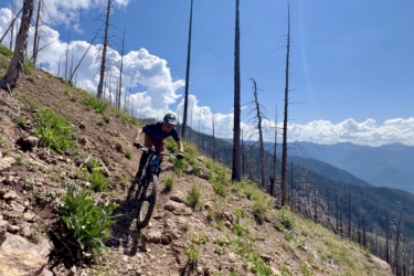 A mountain biker rides downhill on a rocky trail surrounded by tall, bare trees and lush green plants, with a blue sky and fluffy clouds in the background. The mountains are visible in the distance, creating a picturesque outdoor scene.