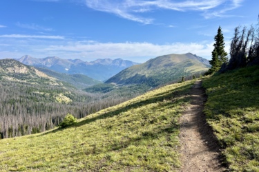 A scenic mountain landscape featuring a winding dirt path on a grassy hillside. The foreground shows the trail leading into a lush green area with a small tree, while the background showcases a range of majestic mountains under a blue sky with wispy clouds. The scene conveys a sense of tranquility and the beauty of nature. Colorado Trail: Fooses Creek mountain bike trail.