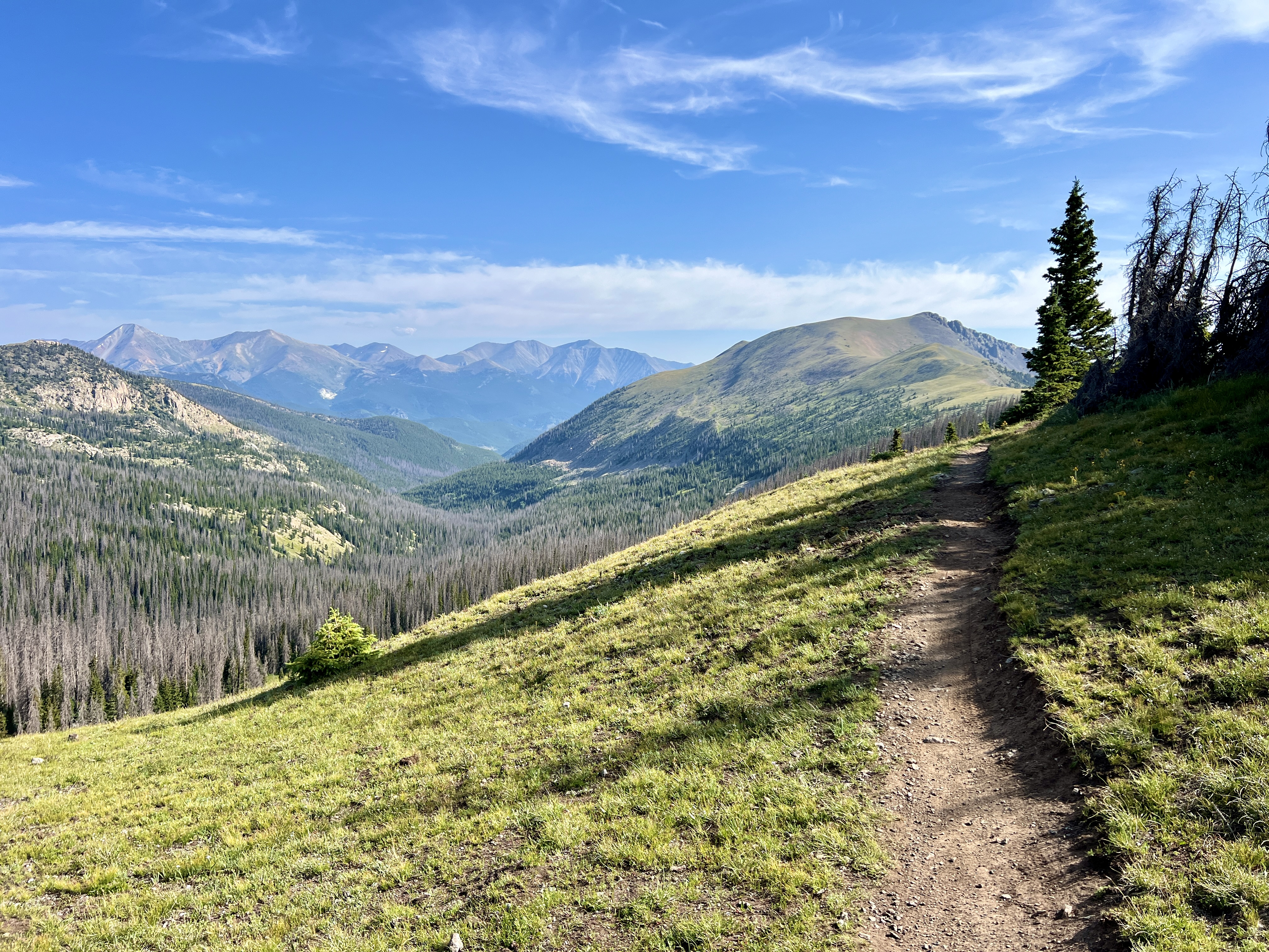 A scenic mountain landscape featuring a winding dirt path on a grassy hillside. The foreground shows the trail leading into a lush green area with a small tree, while the background showcases a range of majestic mountains under a blue sky with wispy clouds. The scene conveys a sense of tranquility and the beauty of nature. Colorado Trail: Fooses Creek mountain bike trail.