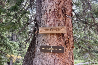 Wooden trail signs attached to a tree in a forest setting. The top sign reads "GRAY SHL" and the lower sign indicates "COLORADO TR." with arrows pointing left and right. Surrounding the tree are various green foliage and pine trees. Graysill Creek mountain bike trail.
