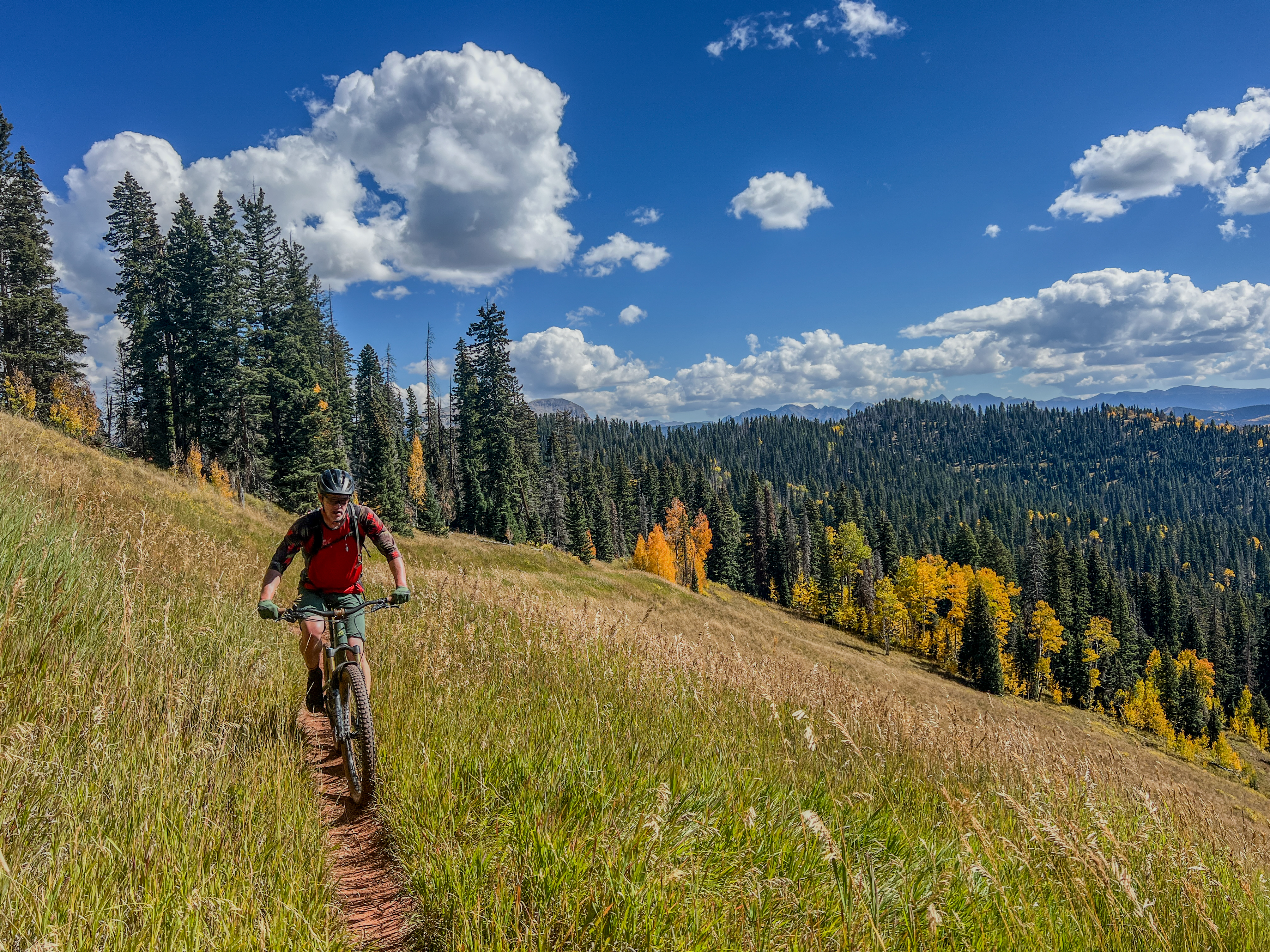 A mountain biker navigating a grassy trail surrounded by tall coniferous trees and autumn-colored foliage under a bright blue sky with fluffy white clouds. Corral Draw mountain bike trail.