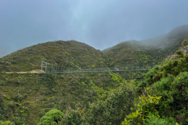 A suspension bridge spanning a gorge, surrounded by lush green mountains and misty skies. The bridge features a metal framework and is set against a backdrop of hilly terrain covered in vegetation. Makara Peak Mountain Bike Park mountain bike trail.
