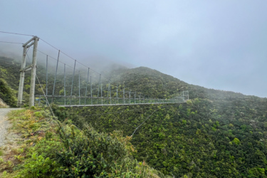 A suspension bridge stretches across a misty valley, surrounded by lush green foliage and steep hills. The bridge is supported by wooden pillars and cable rigging, leading into the foggy distance. Makara Peak Mountain Bike Park mountain bike trail.