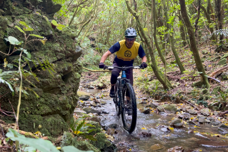 A mountain bikers riding through a rocky stream in a lush green forest, surrounded by tall trees and vegetation. The cyclist is wearing a yellow and blue jersey, a helmet, and is focused on navigating the trail as water splashes around the bike's wheels.