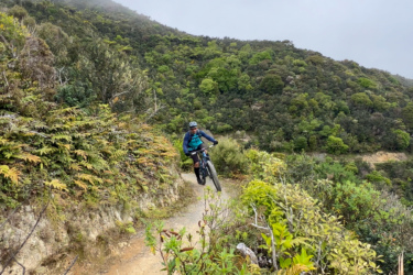 A mountain biker riding along a narrow dirt trail surrounded by lush greenery and hilly terrain, with a cloudy sky above. Makara Peak Mountain Bike Park mountain bike trail.