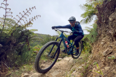 A person riding a mountain bike on a rocky trail surrounded by lush greenery and ferns. The rider is leaning forward, navigating the terrain, with a focused expression and wearing a helmet and protective gear. Makara Peak Mountain Bike Park mountain bike trail.