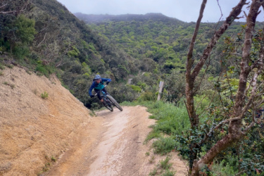 A mountain biker navigating a winding dirt trail through a lush green landscape, with hills and trees in the background. The biker is leaning into the turn, wearing a blue jacket and helmet. Makara Peak Mountain Bike Park mountain bike trail.