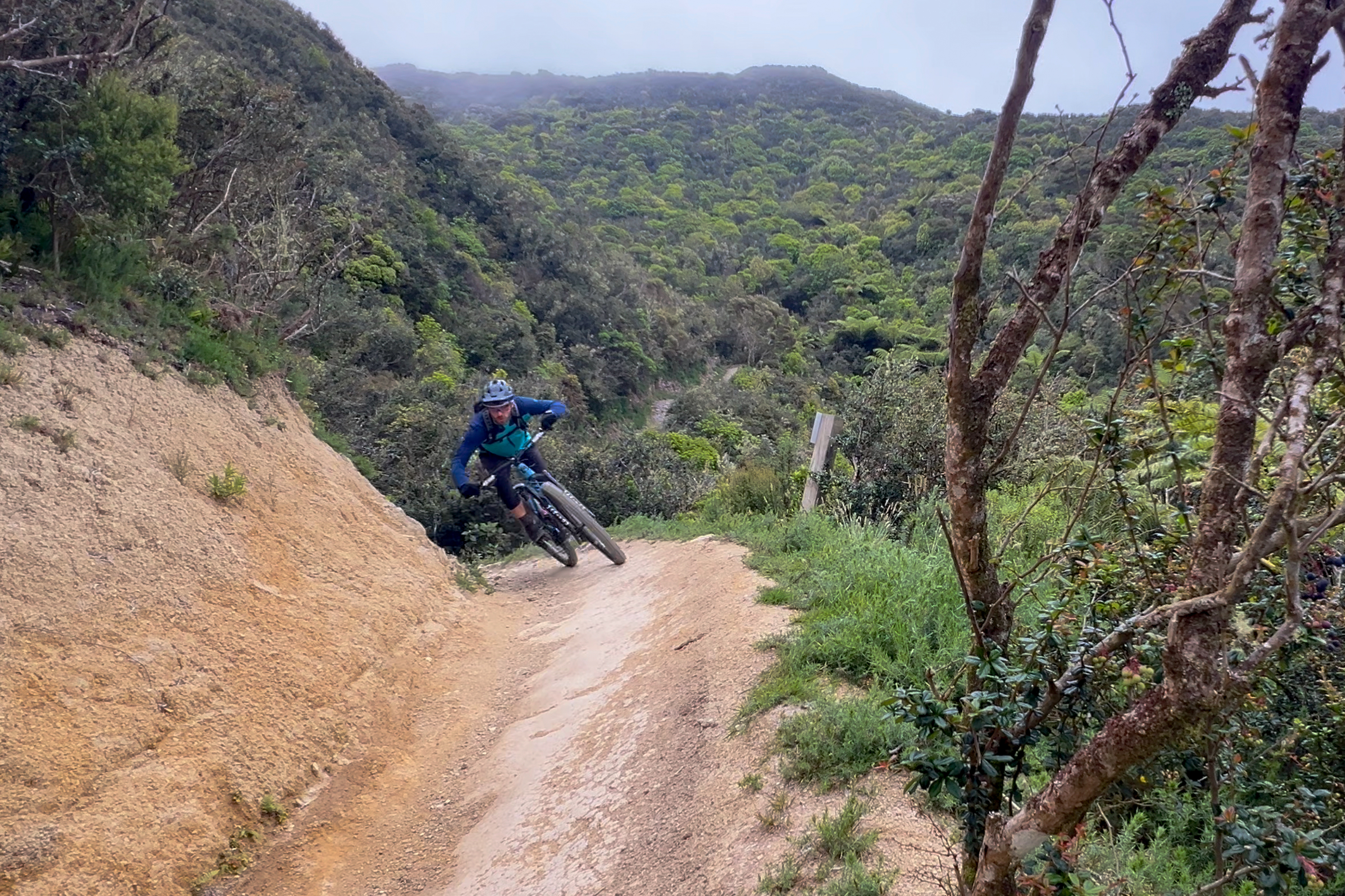 A mountain biker navigating a winding dirt trail through a lush green landscape, with hills and trees in the background. The biker is leaning into the turn, wearing a blue jacket and helmet. Makara Peak Mountain Bike Park mountain bike trail.